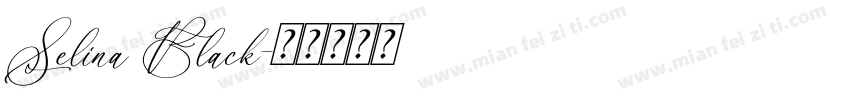 Selina Black字体转换